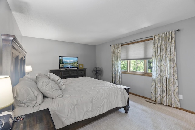 17208 Woodbine St NW, Andover, MN 55304 - bedroom featuring carpet floors and baseboards