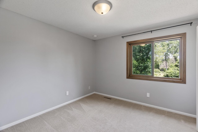 17208 Woodbine St NW, Andover, MN 55304 - empty room with light colored carpet and a textured ceiling