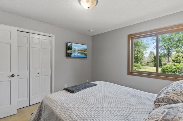 17208 Woodbine St NW, Andover, MN 55304 - bedroom with a closet and light carpet