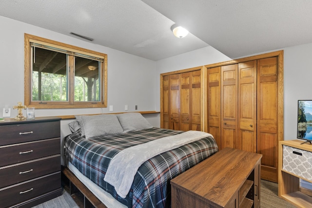17208 Woodbine St NW, Andover, MN 55304 - bedroom featuring multiple closets