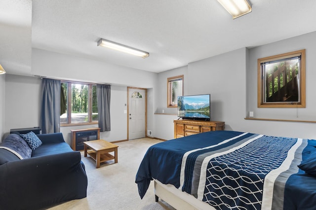 17208 Woodbine St NW, Andover, MN 55304 - bedroom with light carpet and a textured ceiling