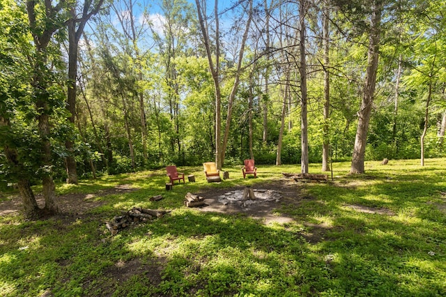17208 Woodbine St NW, Andover, MN 55304 - view of grassy yard