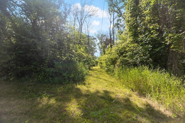 17208 Woodbine St NW, Andover, MN 55304 - view of undeveloped land