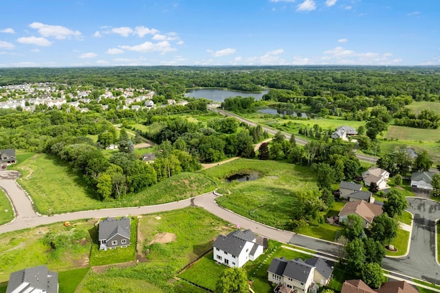 13566 Birdsong Path, Rosemount, MN 55068 - aerial view of residential area with a large body of water and a forest