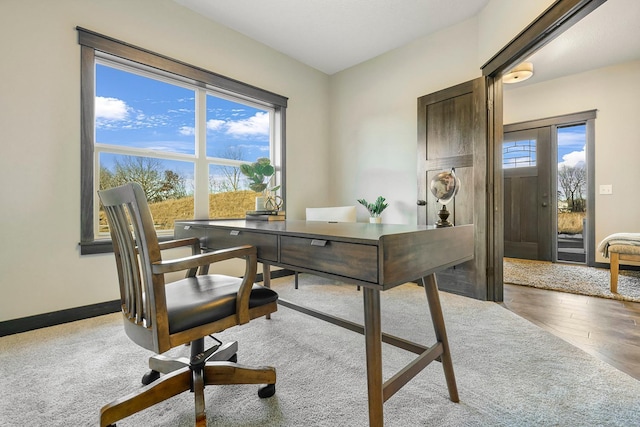 13566 Birdsong Path, Rosemount, MN 55068 - office space featuring wood finished floors and baseboards