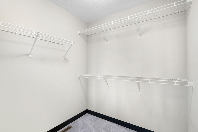 13566 Birdsong Path, Rosemount, MN 55068 - spacious closet featuring carpet floors