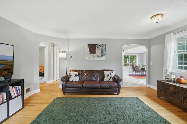 3826 Adair Ave N, Crystal, MN 55422 - living room featuring arched walkways and light wood-style flooring