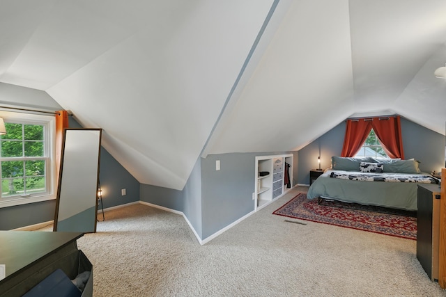 3826 Adair Ave N, Crystal, MN 55422 - carpeted bedroom with vaulted ceiling