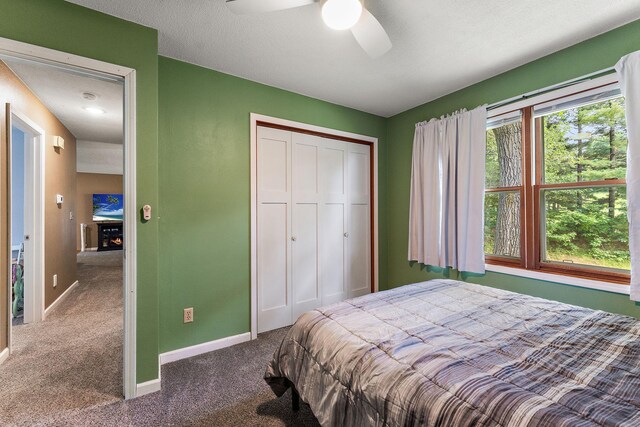 1202 Matteson St, Faribault, MN 55021 - bedroom featuring carpet floors, a closet, and ceiling fan