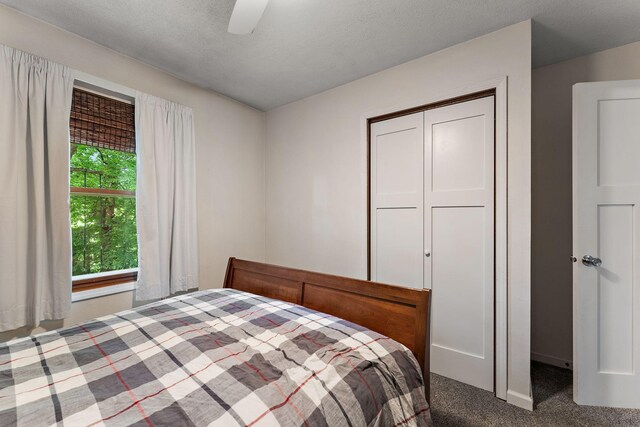 1202 Matteson St, Faribault, MN 55021 - bedroom with carpet, a closet, and a ceiling fan