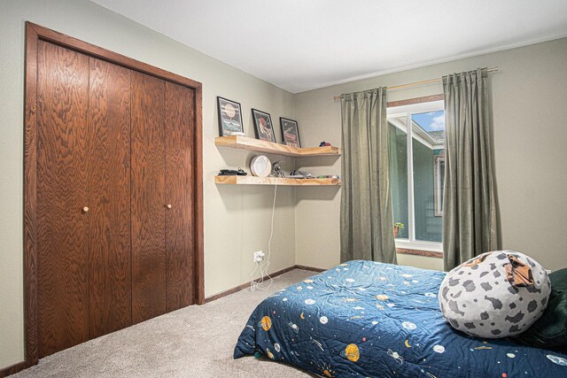 201 Elm St, Luverne, MN 56156 - bedroom with carpet flooring and a closet