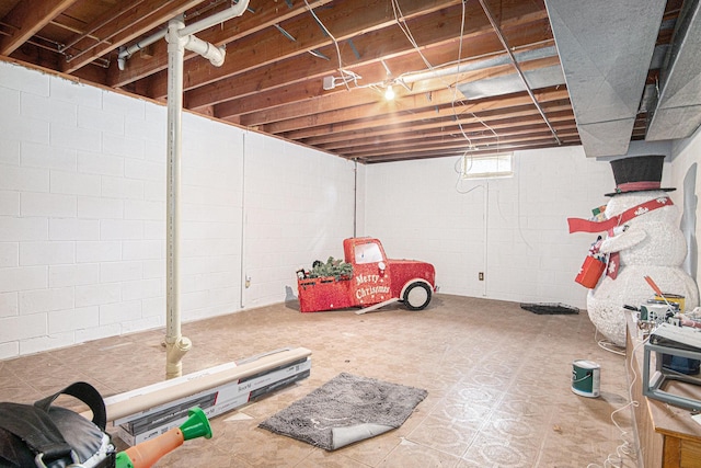 201 Elm St, Luverne, MN 56156 - view of below grade area