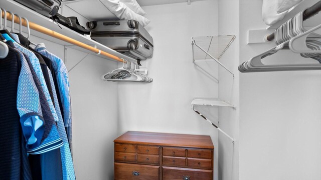 4397 Wilshire Blvd # E305, Mound, MN 55364 - view of spacious closet