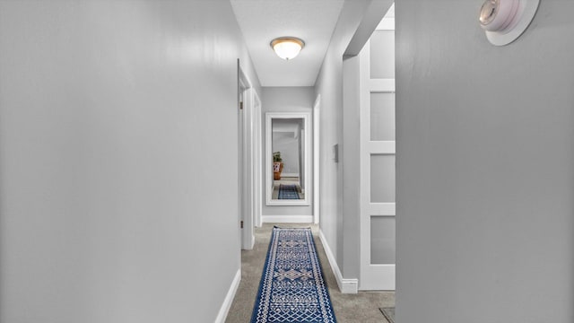 4397 Wilshire Blvd # E305, Mound, MN 55364 - hallway with carpet floors and baseboards