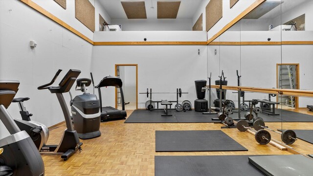 4397 Wilshire Blvd # E305, Mound, MN 55364 - exercise area with a towering ceiling