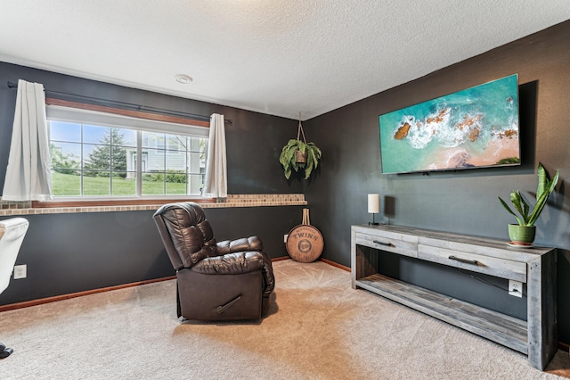1842 Colonial Ln Unit 6, Chanhassen, MN 55317 - living area featuring carpet and a textured ceiling