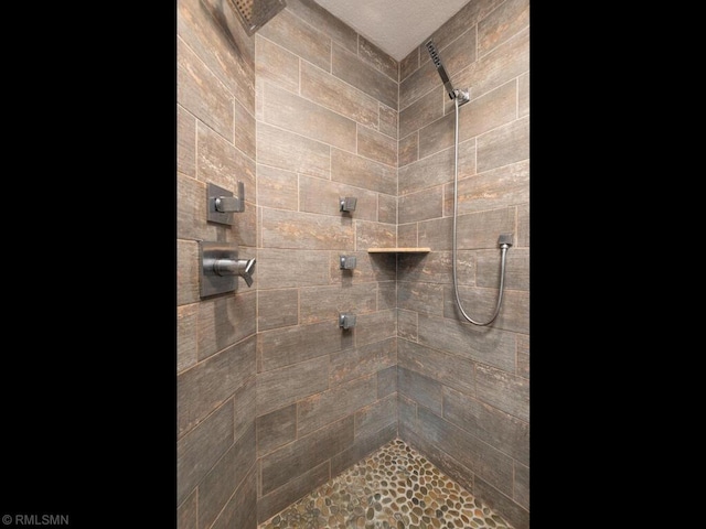 20108 Calgary Trl, Empire Twp, MN 55024 - full bathroom with a tile shower
