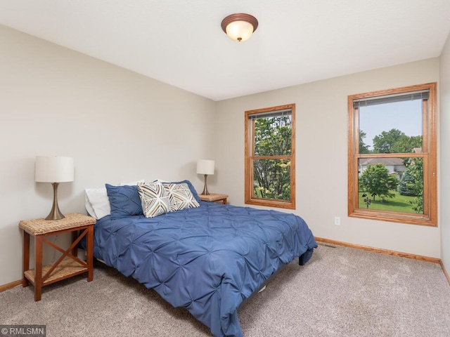 20108 Calgary Trl, Empire Twp, MN 55024 - bedroom featuring baseboards and carpet flooring