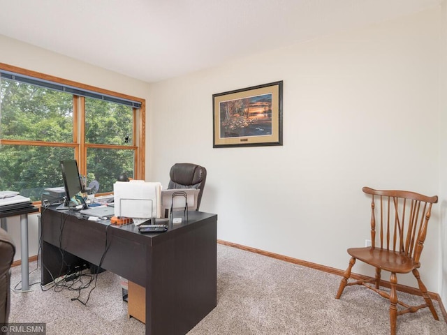 20108 Calgary Trl, Empire Twp, MN 55024 - office space with baseboards and carpet