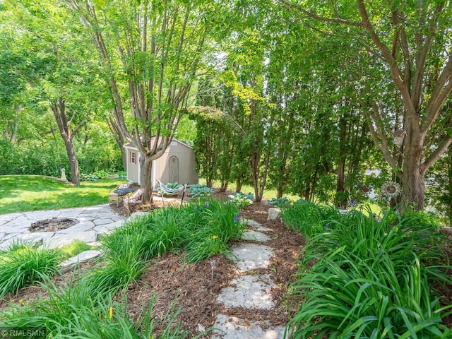 20108 Calgary Trl, Empire Twp, MN 55024 - view of grassy yard with a shed and a fire pit