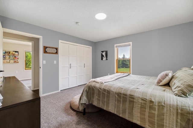 17561 Denkbar Loop, Park Rapids, MN 56470 - bedroom featuring carpet and a closet