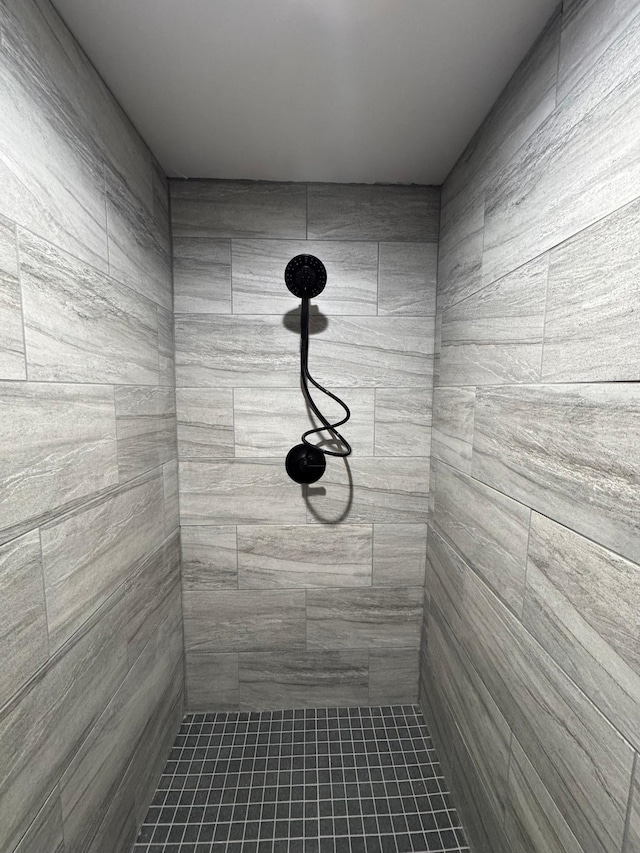 17561 Denkbar Loop, Park Rapids, MN 56470 - full bathroom featuring tiled shower