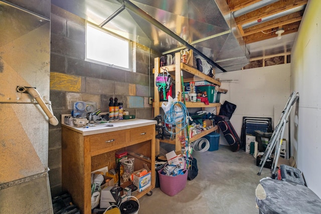 17561 Denkbar Loop, Park Rapids, MN 56470 - below grade area with a workshop area