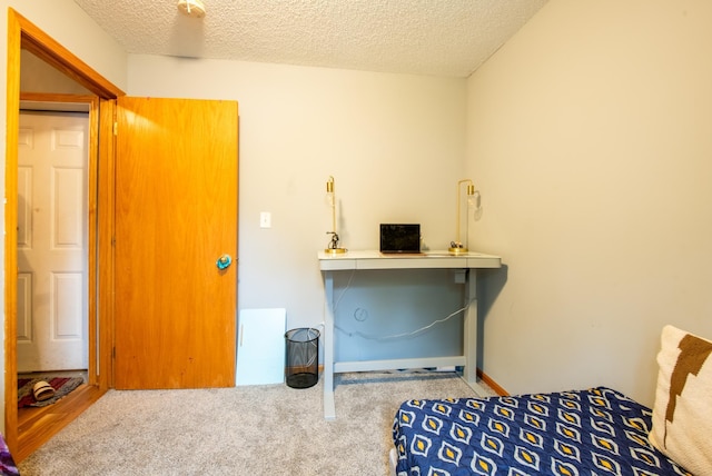 5724 4th St NE, Fridley, MN 55432 - miscellaneous room featuring a textured ceiling and carpet