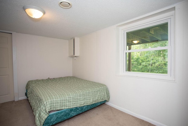 29930 Nathan Ct, Lindstrom, MN 55045 - bedroom with light carpet and a textured ceiling