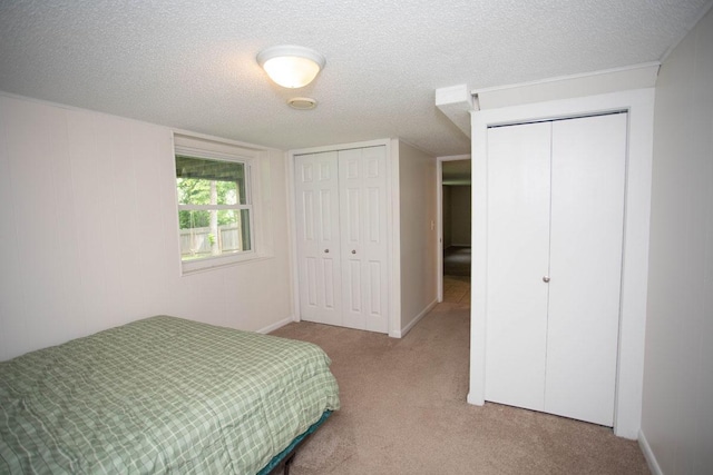 29930 Nathan Ct, Lindstrom, MN 55045 - bedroom with two closets, carpet flooring, and a textured ceiling