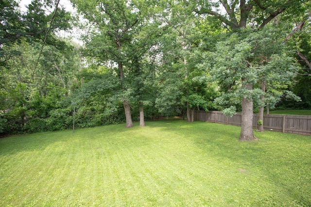 29930 Nathan Ct, Lindstrom, MN 55045 - view of yard