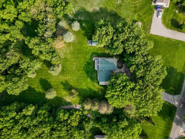 4544 368th Ave, Montevideo, MN 56265 - photo 6