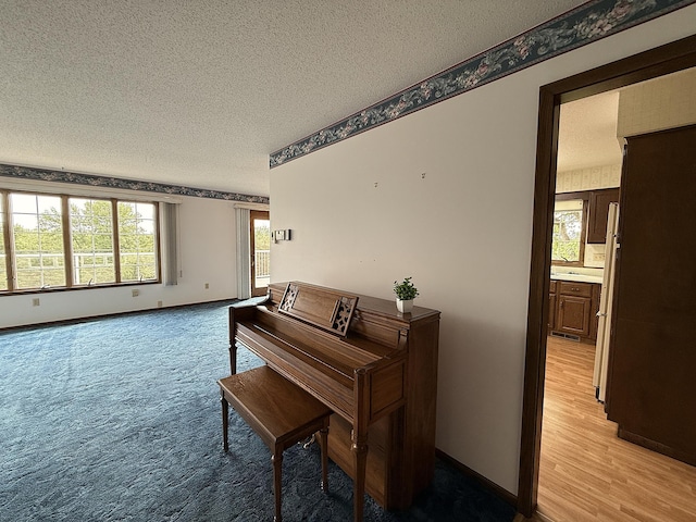 4544 368th Ave, Montevideo, MN 56265 - photo 14