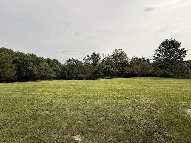 4544 368th Ave, Montevideo, MN 56265 - photo 49