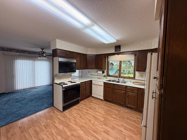 4544 368th Ave, Montevideo, MN 56265 - photo 20