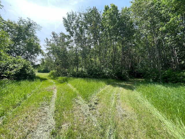 39309 350th St SE, Queen Twp, MN 56542