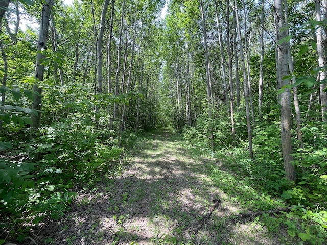 39309 350th St SE, Queen Twp, MN 56542