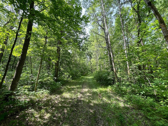 39309 350th St SE, Queen Twp, MN 56542