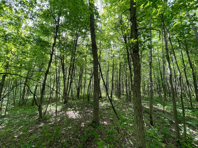 39309 350th St SE, Queen Twp, MN 56542