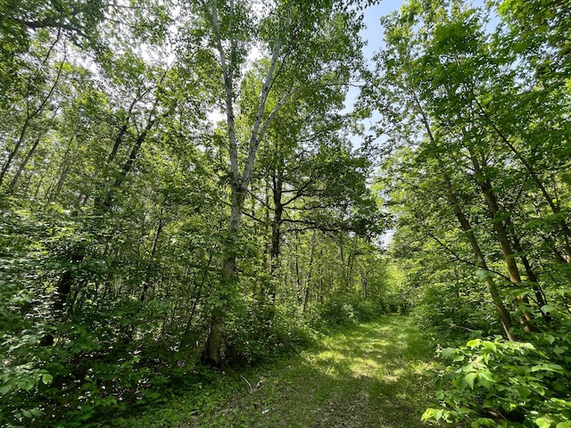 39309 350th St SE, Queen Twp, MN 56542