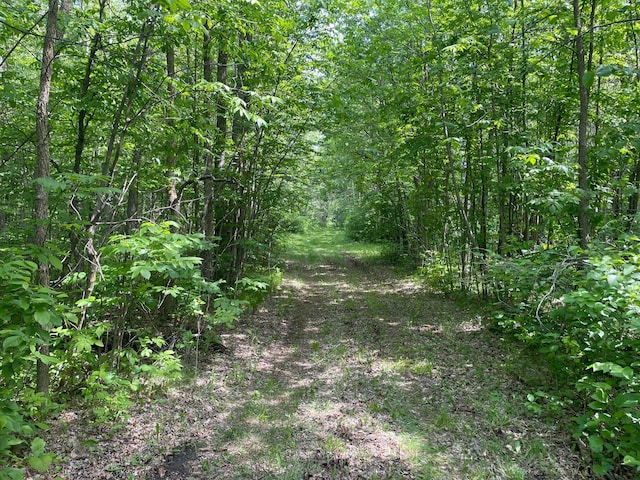 39309 350th St SE, Queen Twp, MN 56542