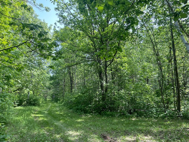 39309 350th St SE, Queen Twp, MN 56542