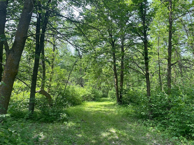 39309 350th St SE, Queen Twp, MN 56542