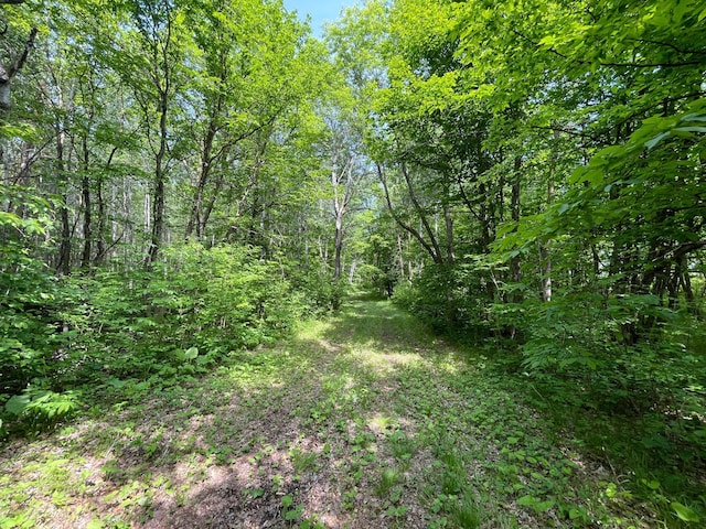 39309 350th St SE, Queen Twp, MN 56542
