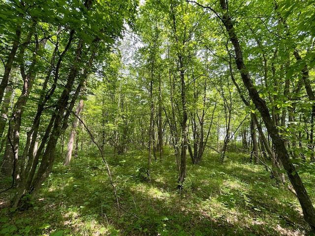 39309 350th St SE, Queen Twp, MN 56542