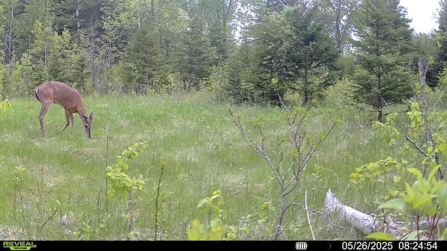 39309 350th St SE, Queen Twp, MN 56542