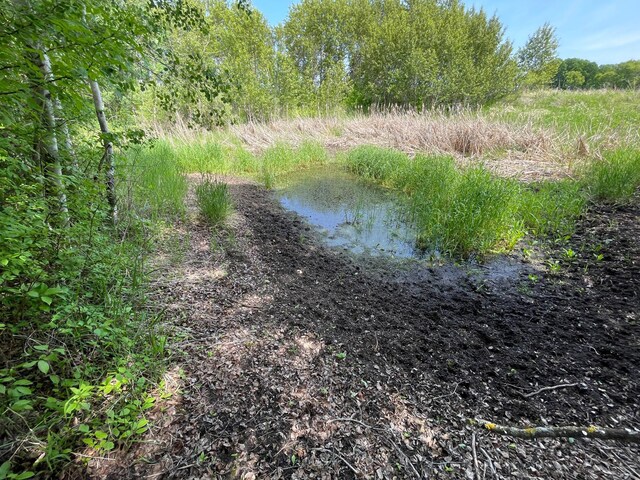 39309 350th St SE, Queen Twp, MN 56542