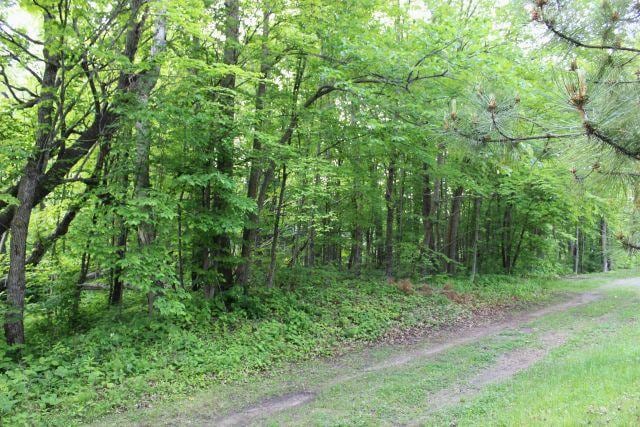 47393 209th Pl, Mcgregor, MN 55760 - view of road with a forest view