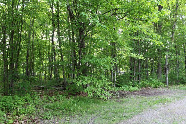 47393 209th Pl, Mcgregor, MN 55760 - view of wooded area