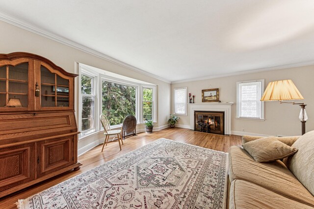 3703 Beard Ave N, Robbinsdale, MN 55422 - living room featuring plenty of natural light, ornamental molding, light wood finished floors, and a glass covered fireplace